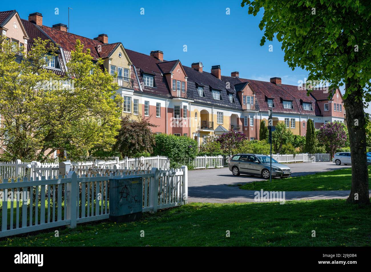 Lilac comune fioritura nel giardino di case a schiera in stile inglese a Södra Promenaden o alla fine di maggio 2022 a Norrköping, Svezia. Foto Stock
