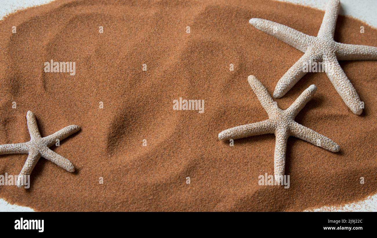 Vacanza. Sfondo con spiaggia di sabbia e tre stelle marine. Foto Stock