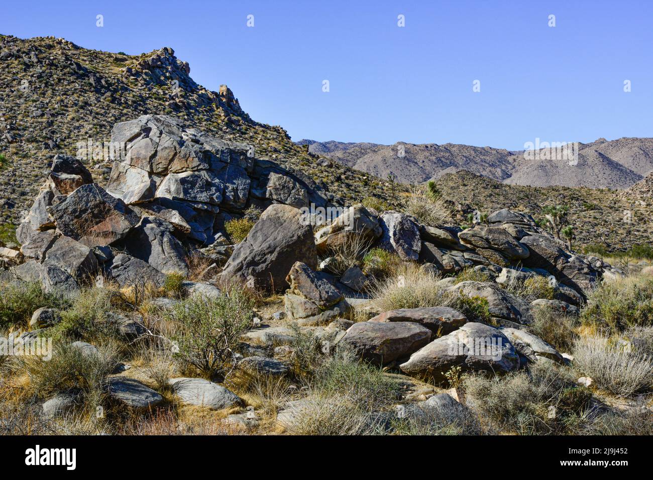 Le uniche formazioni rocciose alte e colate punteggiano il paesaggio desertico nell'arena disseminata di massi che è il Joshua Tree National Park, nel deserto di Mojave, California Foto Stock