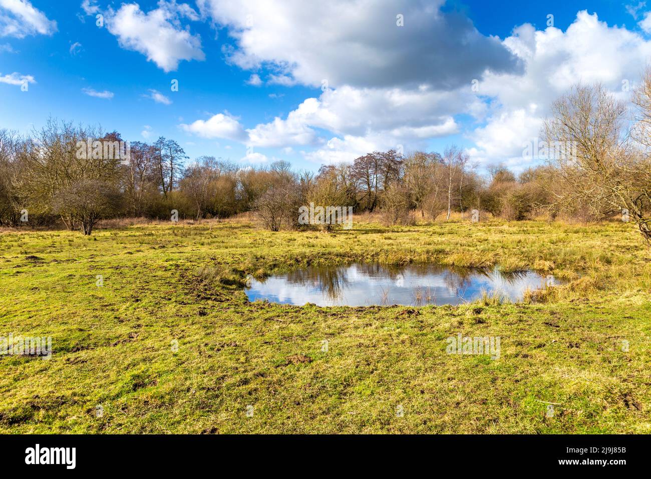 Oughtonhead Common Nature Reserve a Hitchin, Hertfordshire, Regno Unito Foto Stock