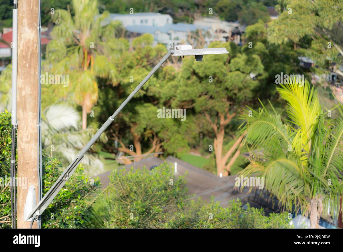 Un palo di potenza in legno (comune nel nuovo Galles del Sud) a Sydney e un semaforo a LED con un fondo di alberi verdi in Australia Foto Stock