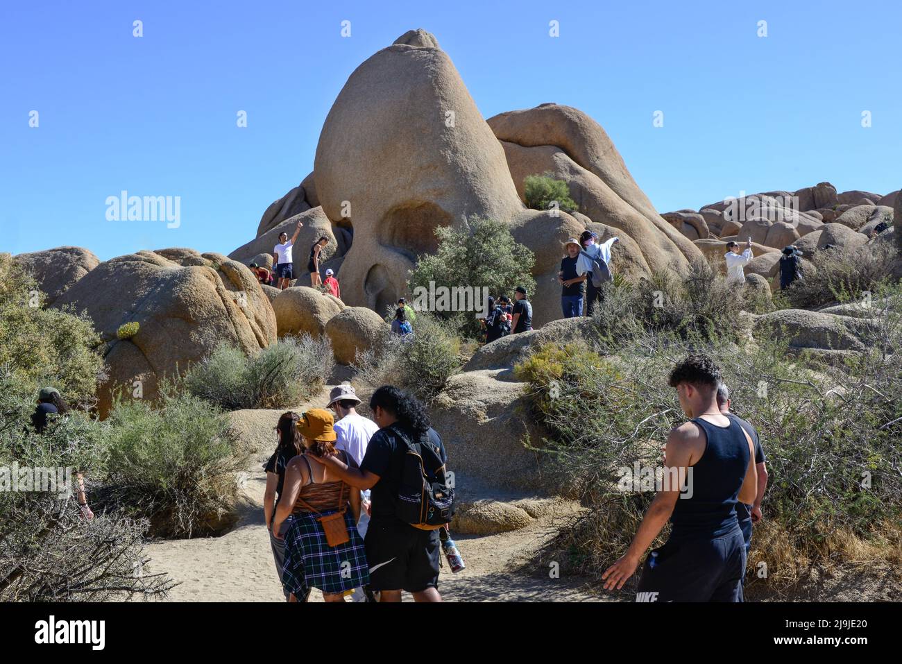 'shull Rock', un punto di riferimento nel Joshua Tree National Park è scalato dai turisti sui massi creati in modo unico, nel deserto di Mojave, California Foto Stock