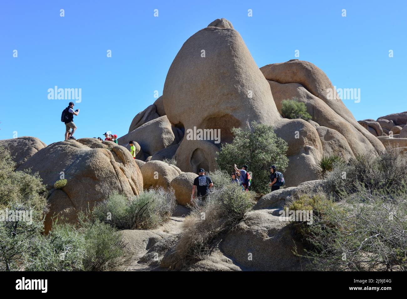 'shull Rock', un punto di riferimento nel Joshua Tree National Park è scalato dai turisti sui massi creati in modo unico, nel deserto di Mojave, California Foto Stock