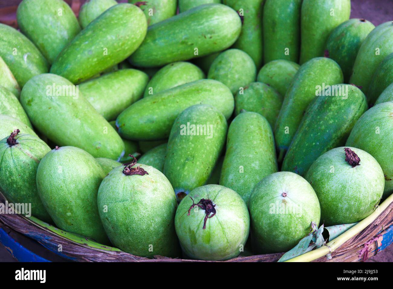 giacenza fresca e sana di zucca di cera in negozio per la vendita Foto Stock