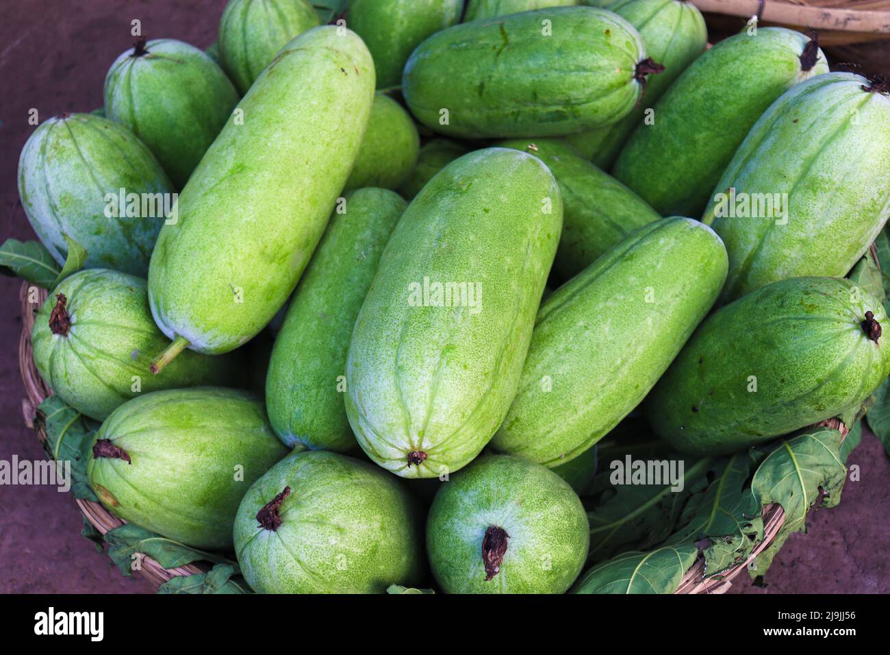 giacenza fresca e sana di zucca di cera in negozio per la vendita Foto Stock