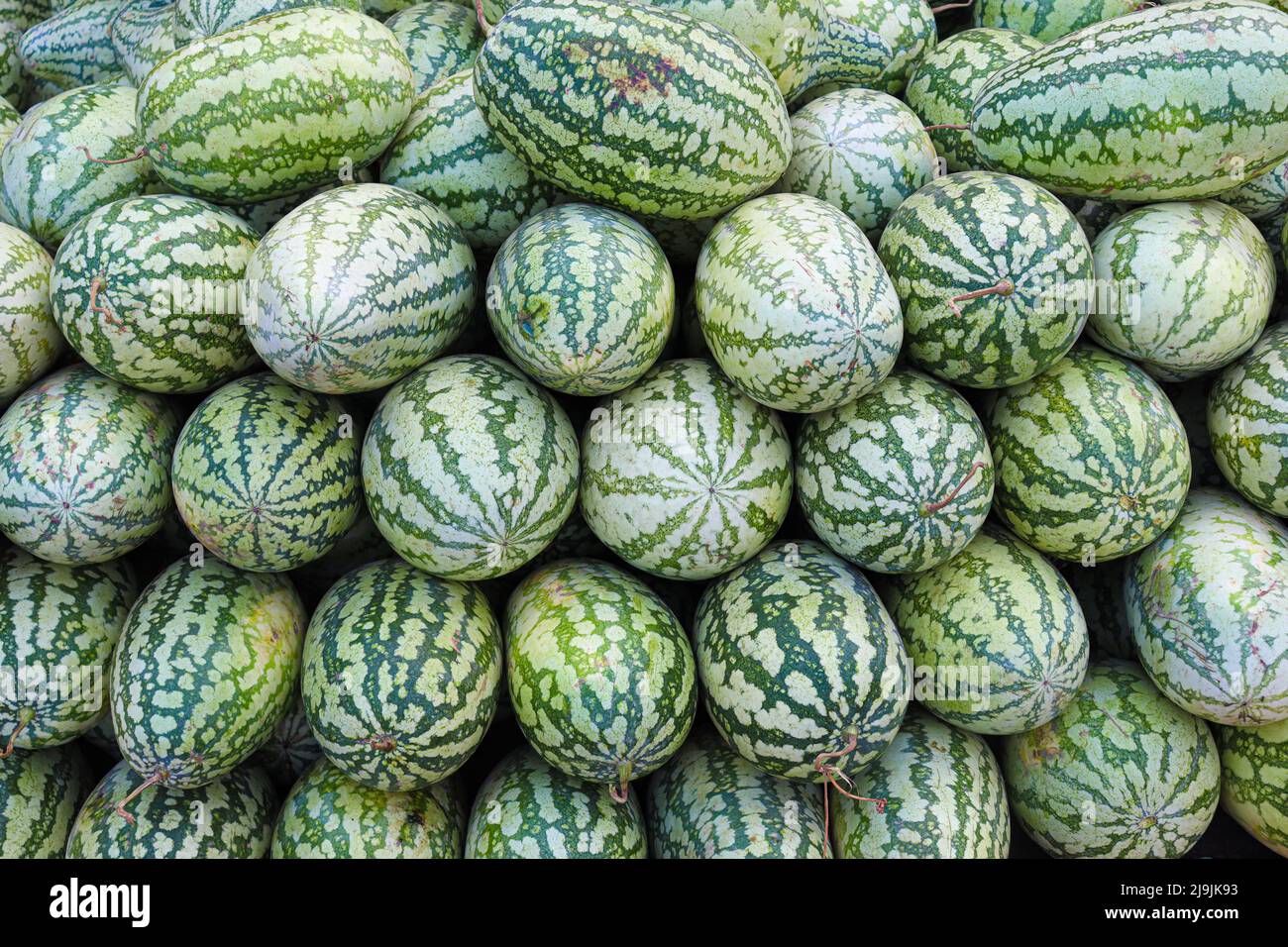 Melone gustoso e sano Stock in negozio per la vendita Foto Stock