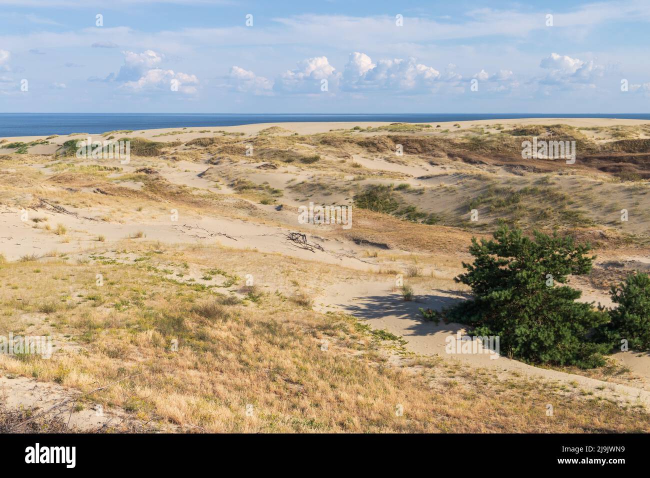 Curonian Spit paesaggio estivo con dune costiere sabbiose in una giornata di sole, Kaliningrad Oblast, Russia Foto Stock