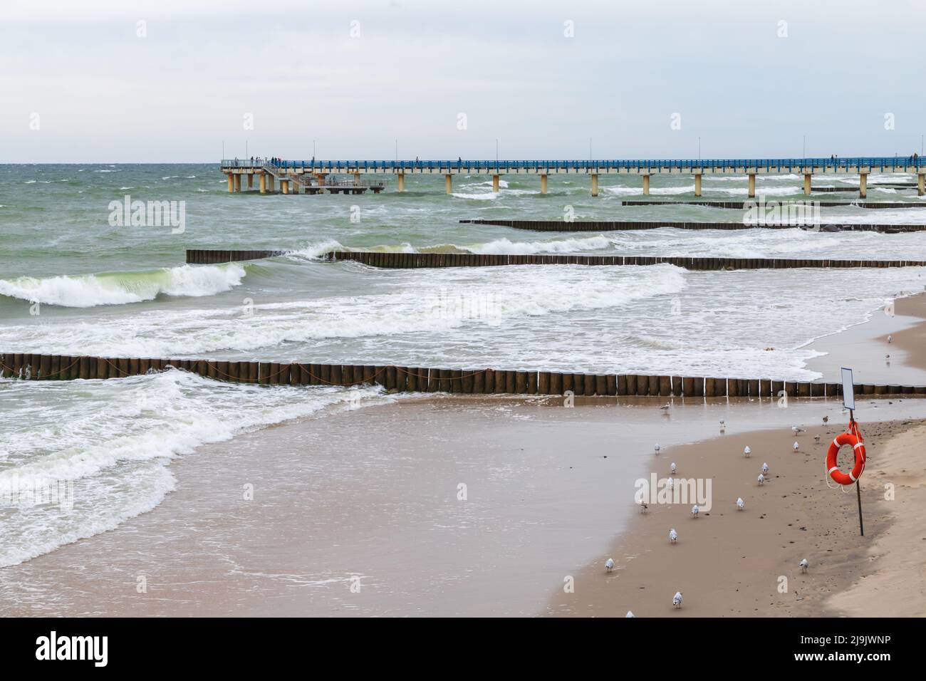 Vista sulla spiaggia con frangiflutti in legno e molo, foto del paesaggio della costa del Mar Baltico. Zelenogradsk, Kaliningrad Oblast, Russia Foto Stock