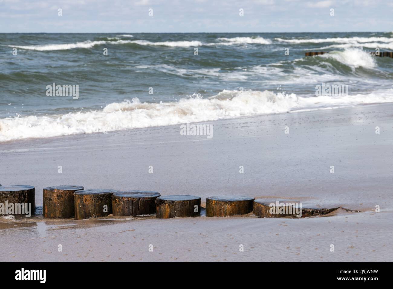 Vecchia struttura in legno frangiflutti sulla costa del Mar Baltico, foto ravvicinata con messa a fuoco selettiva. Zelenogradsk, Kaliningrad Oblast, Russia Foto Stock