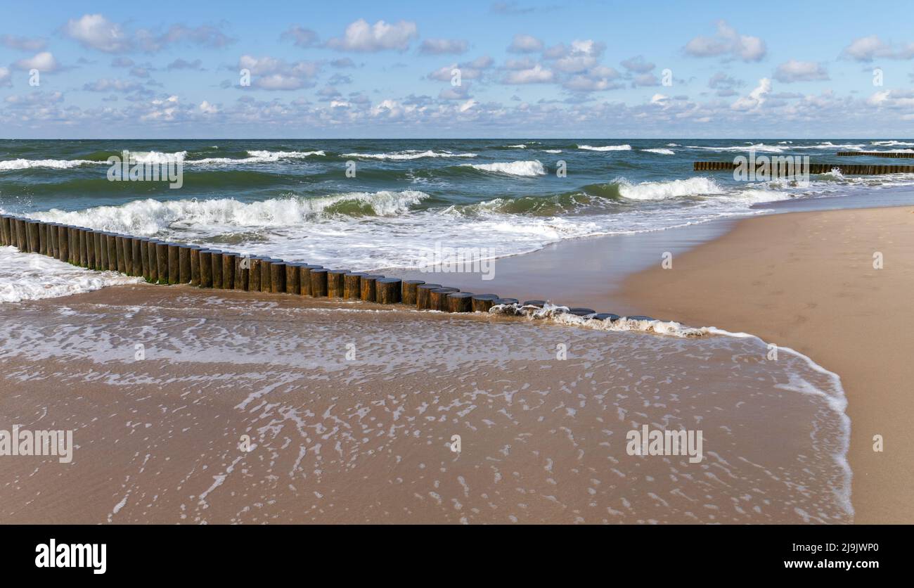 Spiaggia di sabbia con acqua di riva e strutture in legno frangiflutti, paesaggio della costa del Mar Baltico foto scattata in una giornata estiva soleggiata. Zelenogradsk, Kaliningrad Foto Stock