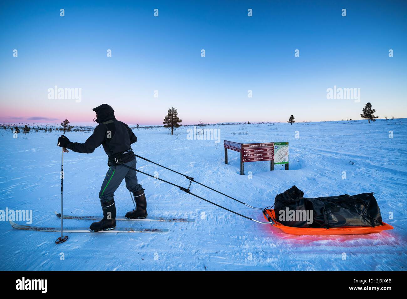 Sci alpinismo nel Parco Nazionale di Lemmenjoki, Inari, Lapponia, Finlandia Foto Stock