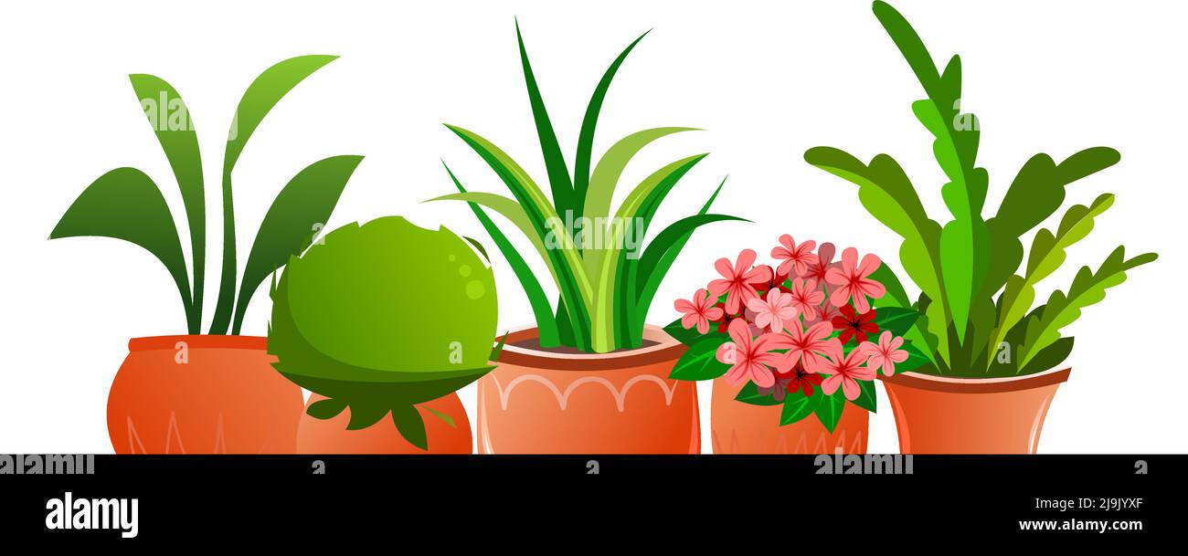 Piante e fiori interni. Ancora vita on line. In pentole di ceramica. Belle erbe fatte in casa. Isolato su sfondo bianco. Stile divertente Cartoon. Vettore. Illustrazione Vettoriale