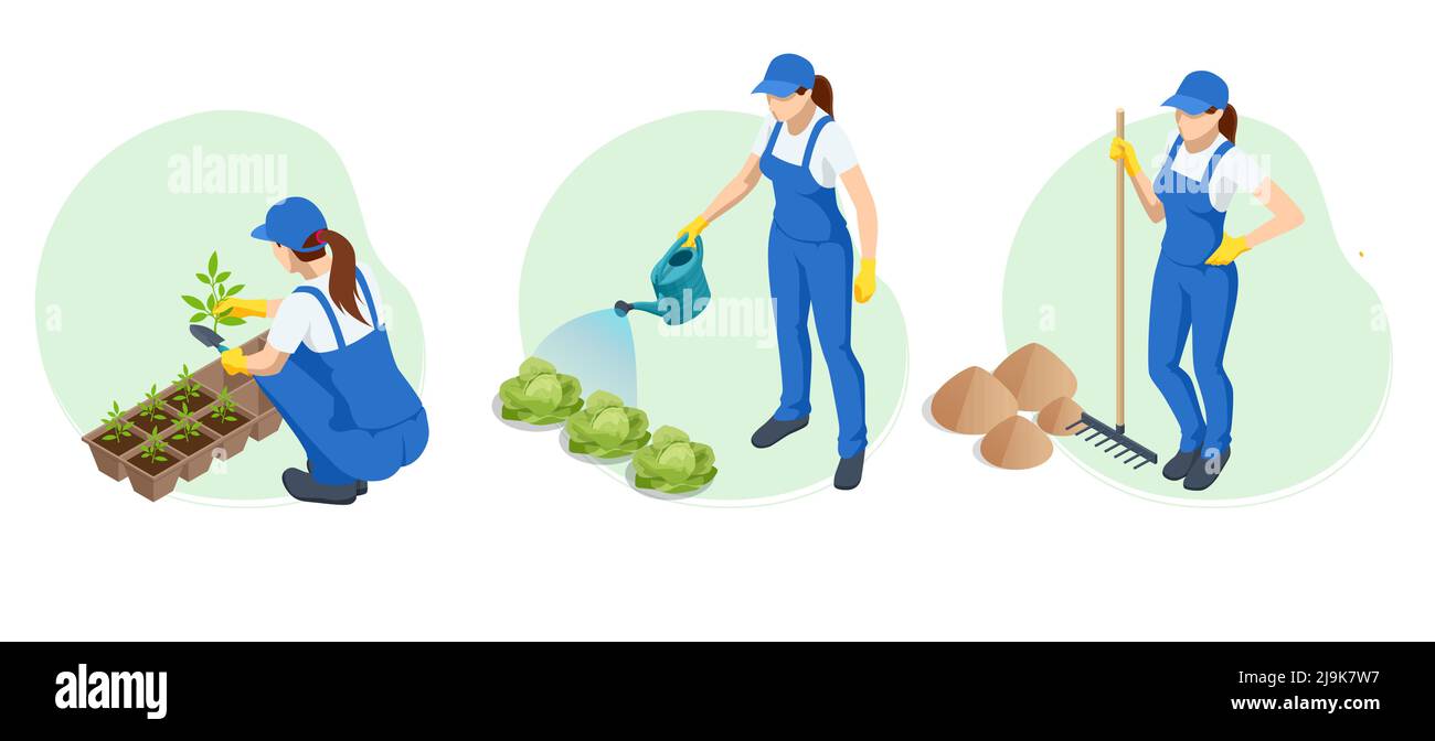 Giardinieri isometrici, agricoltori e lavoratori che si occupano del giardino, coltivando prodotti agricoli. Illustrazione Vettoriale