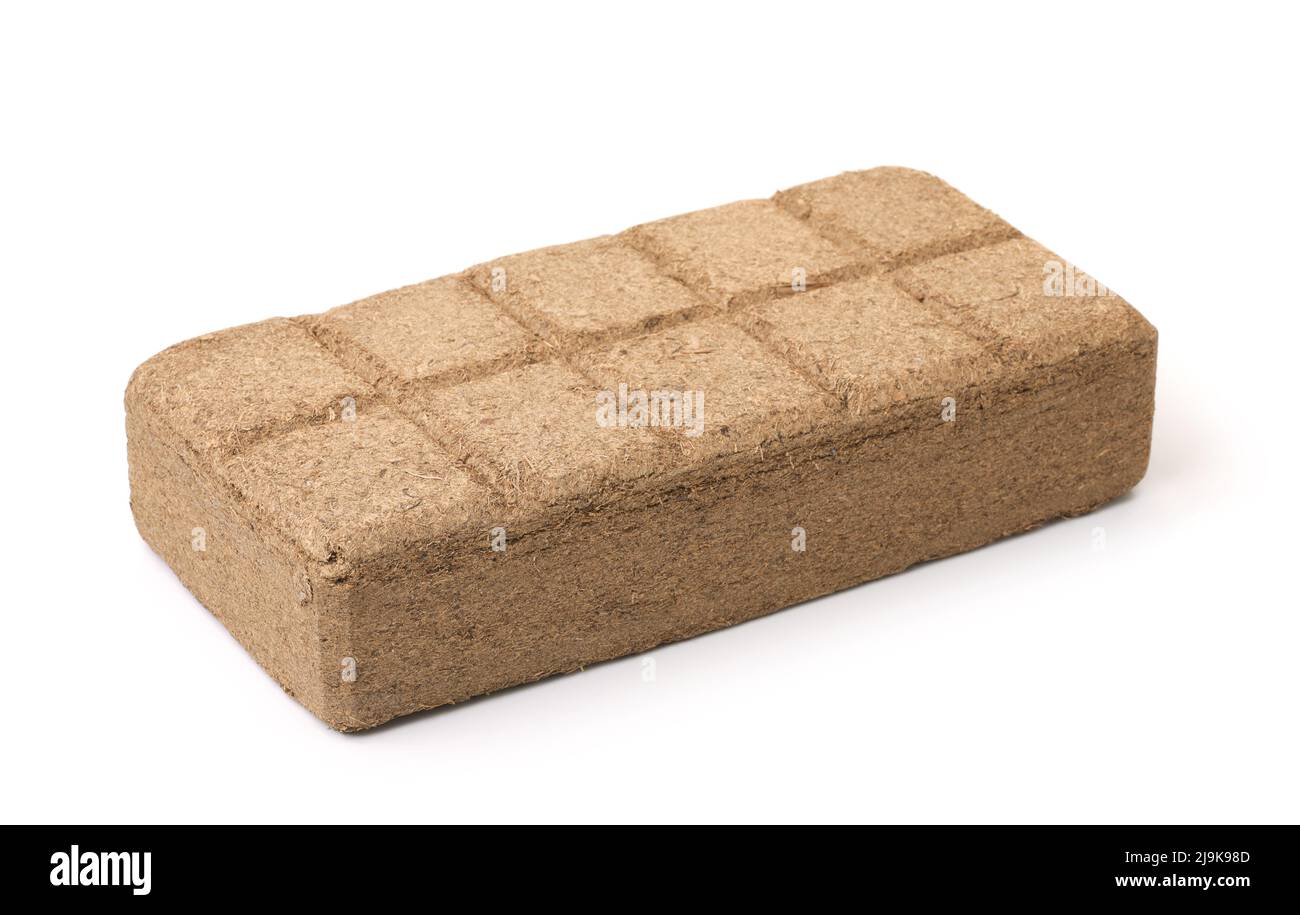 Bricchetti di torba di cocco pressati isolati su bianco Foto Stock