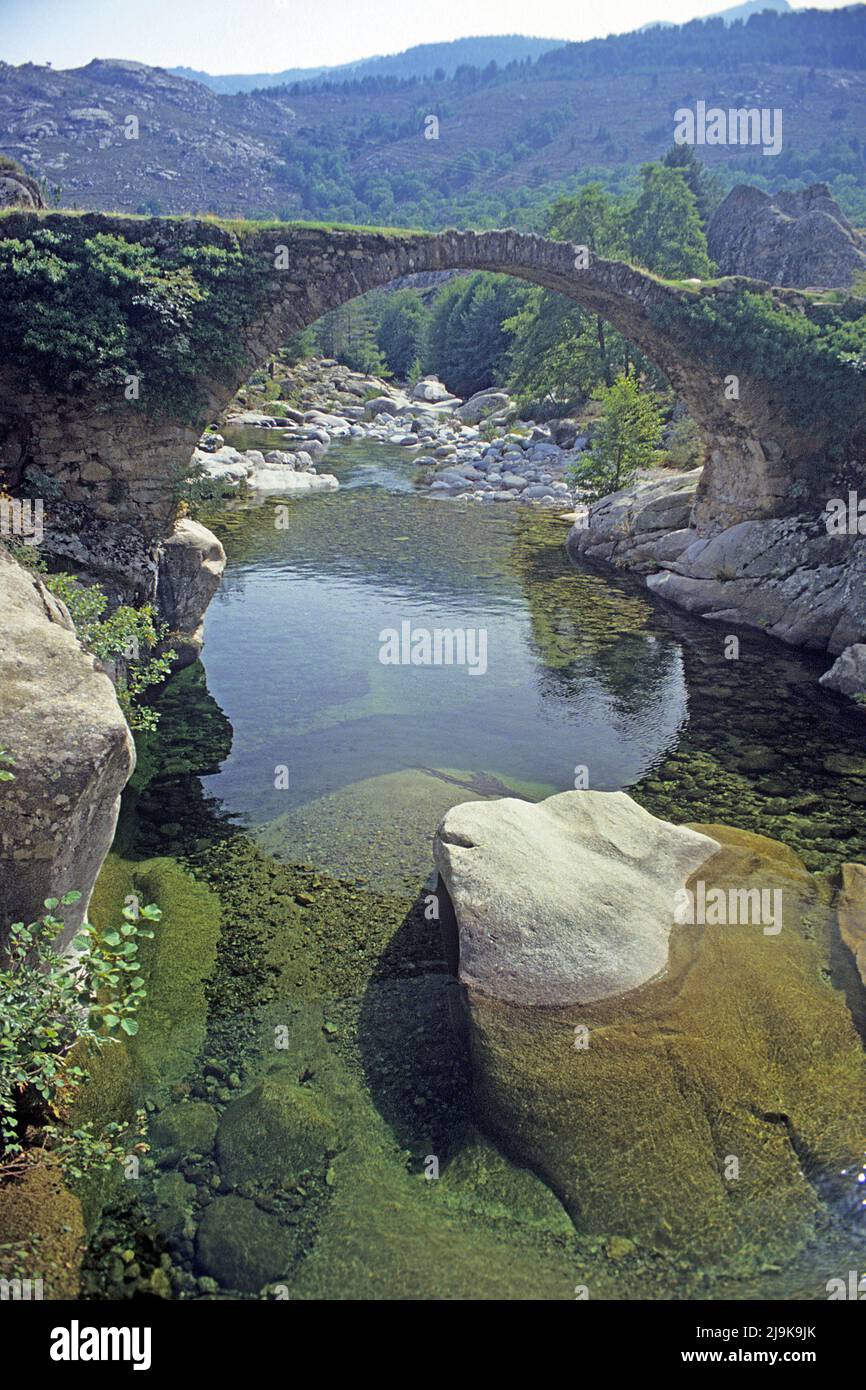 Vecchio ponte in pietra genovese nella valle di Niolu, Calacuccia, Corsica, Francia, Mar Mediterraneo, Europa Foto Stock