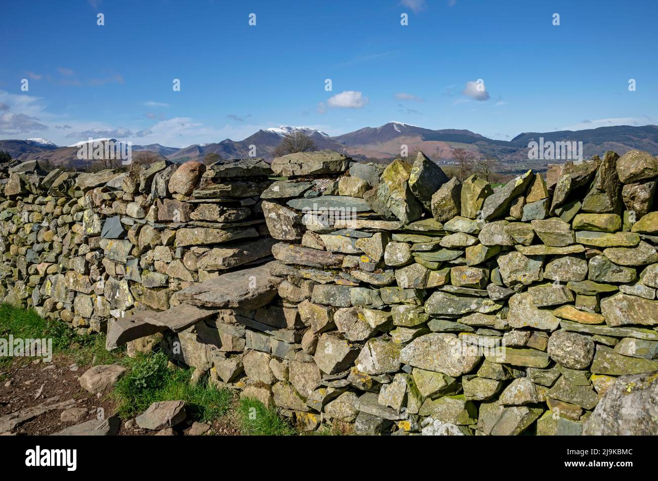 Stille in ardesia passi in pietra a secco muro in primavera tardo inverno Lake District National Park Cumbria Inghilterra Regno Unito GB Gran Bretagna Foto Stock