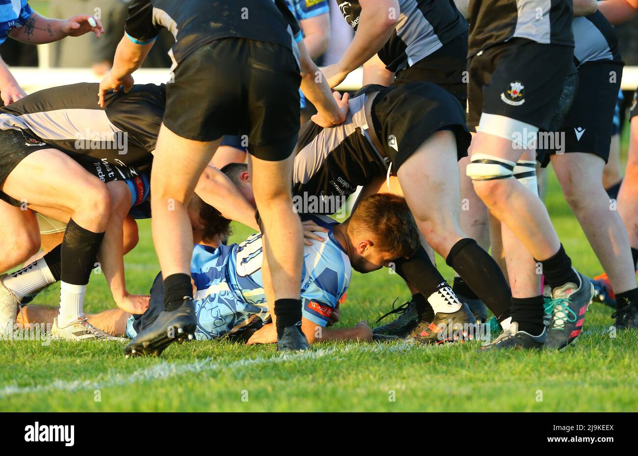 La ST dà il via alla RFC Youth contro Burryport RFC Youth Plate Final 2022 Foto Stock