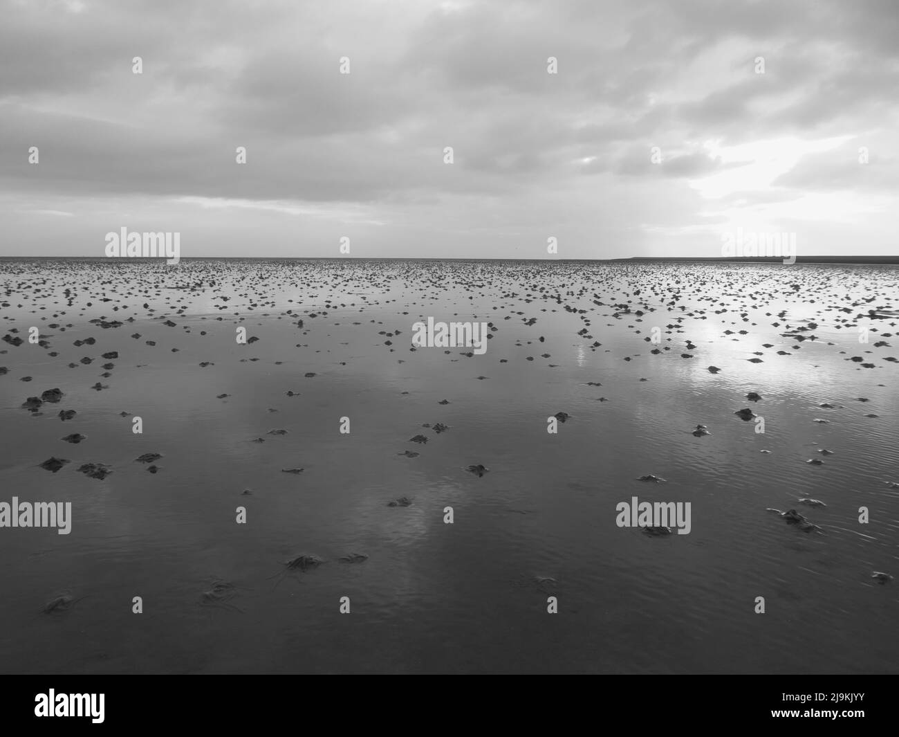 La bellissima tideland durante la bassa marea e l'alba Foto Stock