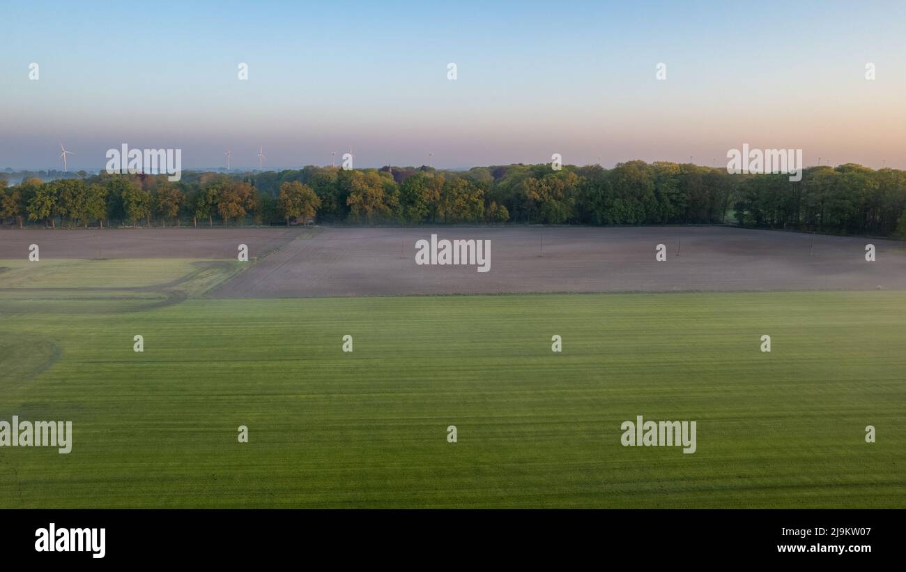 Aerial Drone Shot: Bellissime piantagioni agricole confinanti con foreste selvatiche in Belgio, Europa. Campi agricoli di ortaggi, vigneti. Massiccia crescita industriale di Eco-friendly Food Growing. Foto di alta qualità Foto Stock