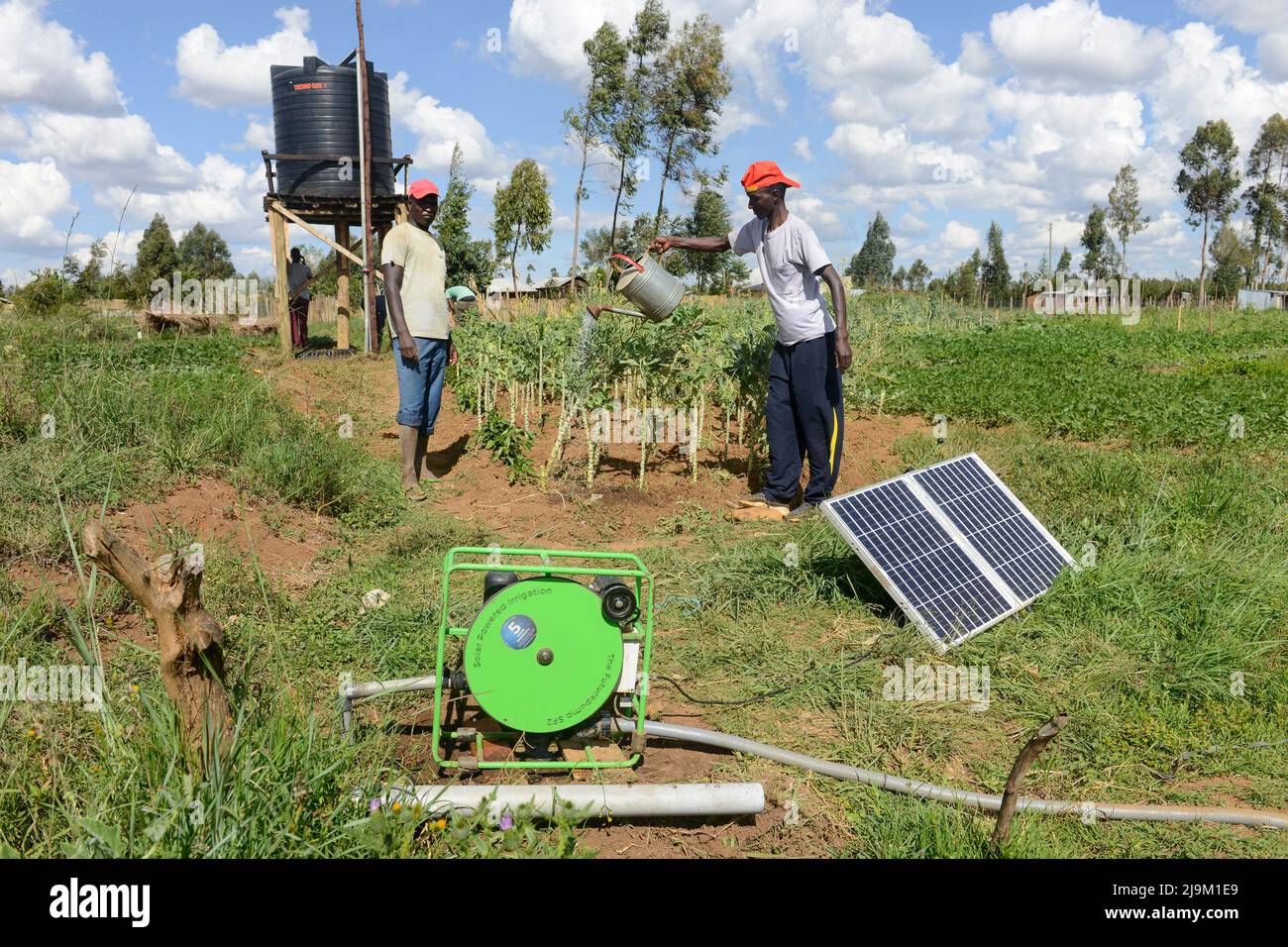 KENYA, Eldoret città, villaggio Kiplombe, agricoltore utilizza un pannello fotovoltaico solare mobile per alimentare una piccola pompa elettrica per riempire l'acqua da un pozzo in un serbatoio per gocciolare irrigazione di verdure Foto Stock