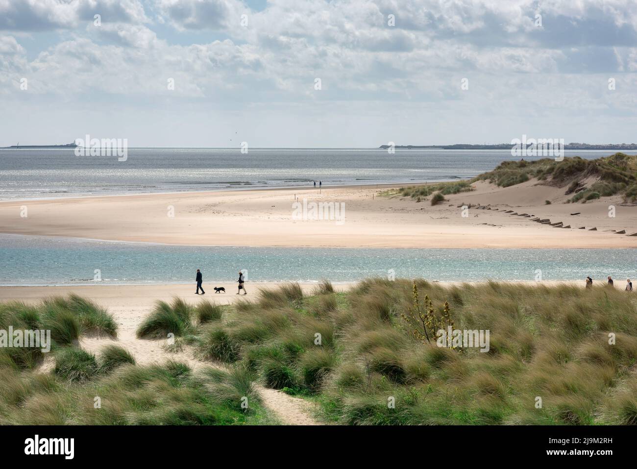 Spiaggia di vacanza Regno Unito, vista in primavera di una coppia che cammina il loro cane su un deserta tratto di spiaggia sabbiosa in Alnmouth, Northumberland costa, Regno Unito Foto Stock