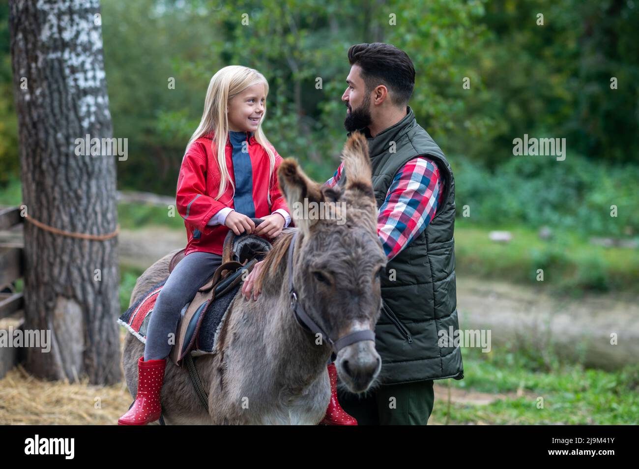 Una ragazza bionda carina che guida un asino in una fattoria, suo papà aiutarla Foto Stock