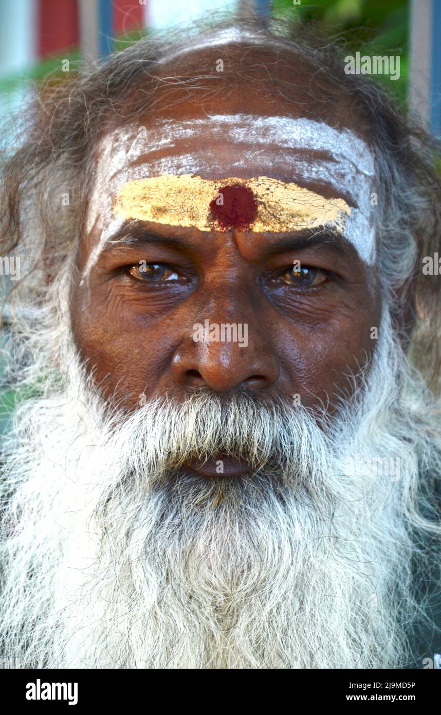 Primo piano di un vecchio sadhu indiano (santo), sacerdote con barba bianca e cenere sacra sulla fronte. Foto Stock