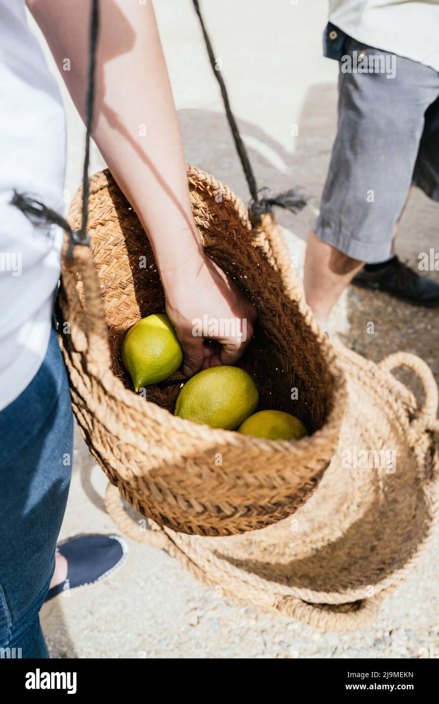 Da sopra di raccolto irriconoscibile agricoltore femmina in abiti casual che trasportano cestino di vimini con limoni freschi durante i lavori di raccolta nella giornata di sole in cou Foto Stock