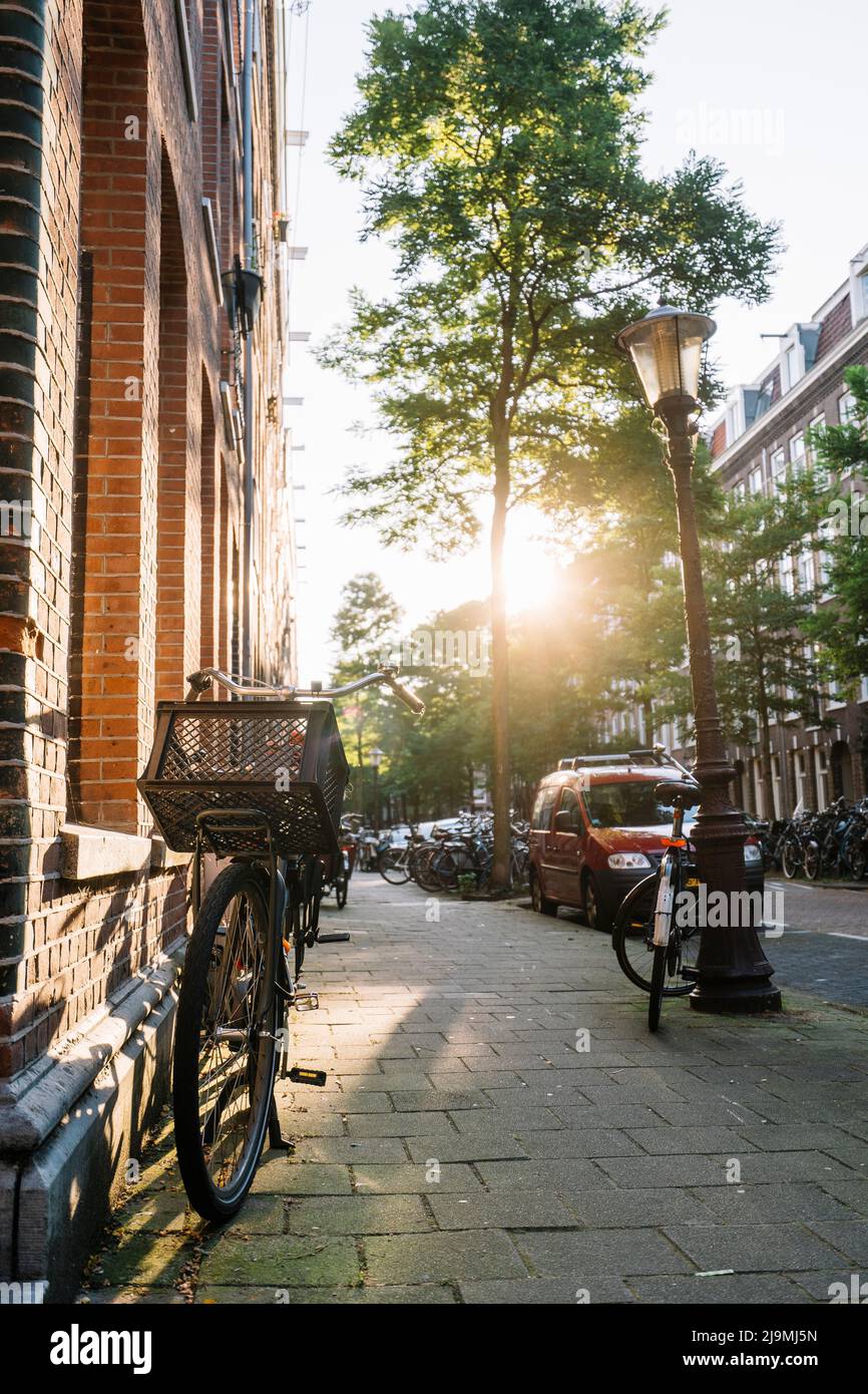 Facciate di vari edifici residenziali in mattoni tipici in città con biciclette parcheggiate su marciapiedi vicino strada asfaltata in Olanda durante il tramonto Foto Stock