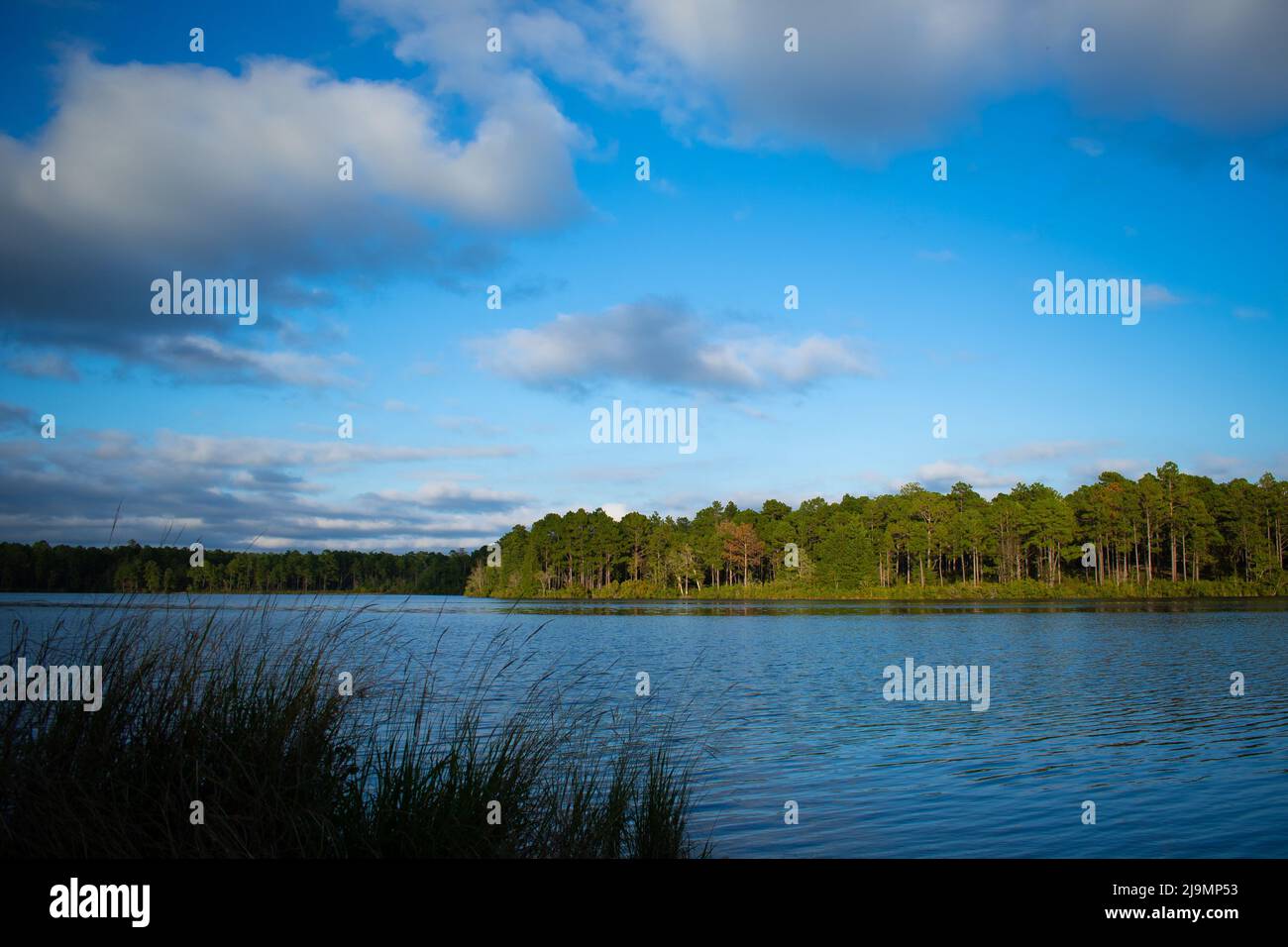 Lago del North Carolina in una splendida giornata, perfetto per la pesca, con cielo blu, alberi e nuvole Foto Stock