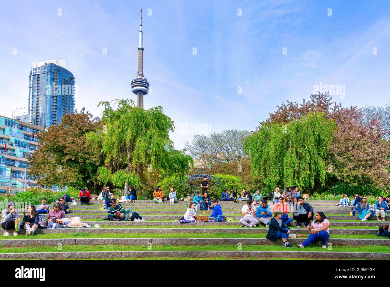 Un gruppo di persone si sta godendo la festa del Victoria Day sui gradini del Music Garden. La CN Tower è visibile sullo sfondo. Foto Stock