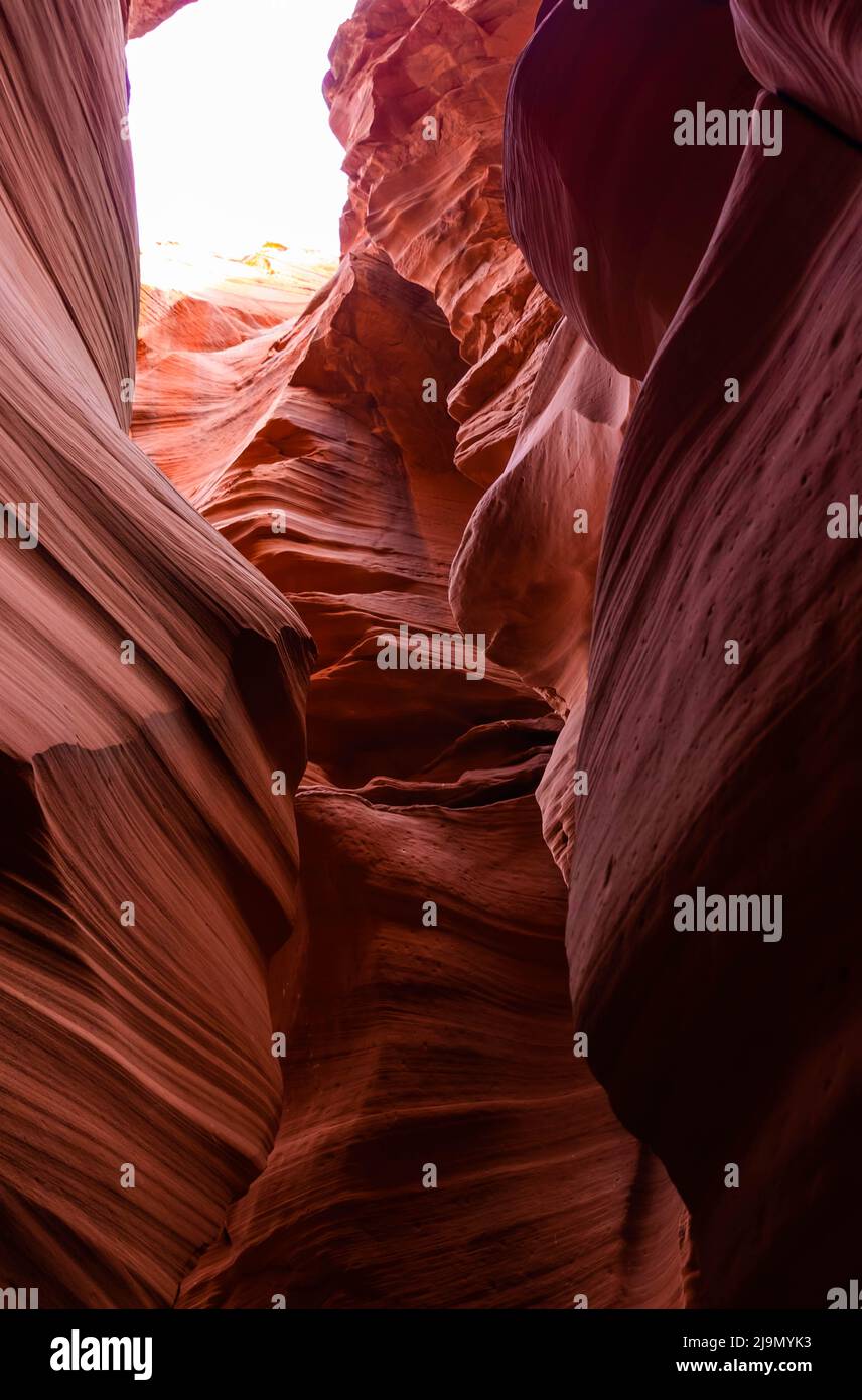 Splendida vista grandangolare di incredibili formazioni di arenaria nel famoso Antelope Canyon, Arizona, USA Foto Stock