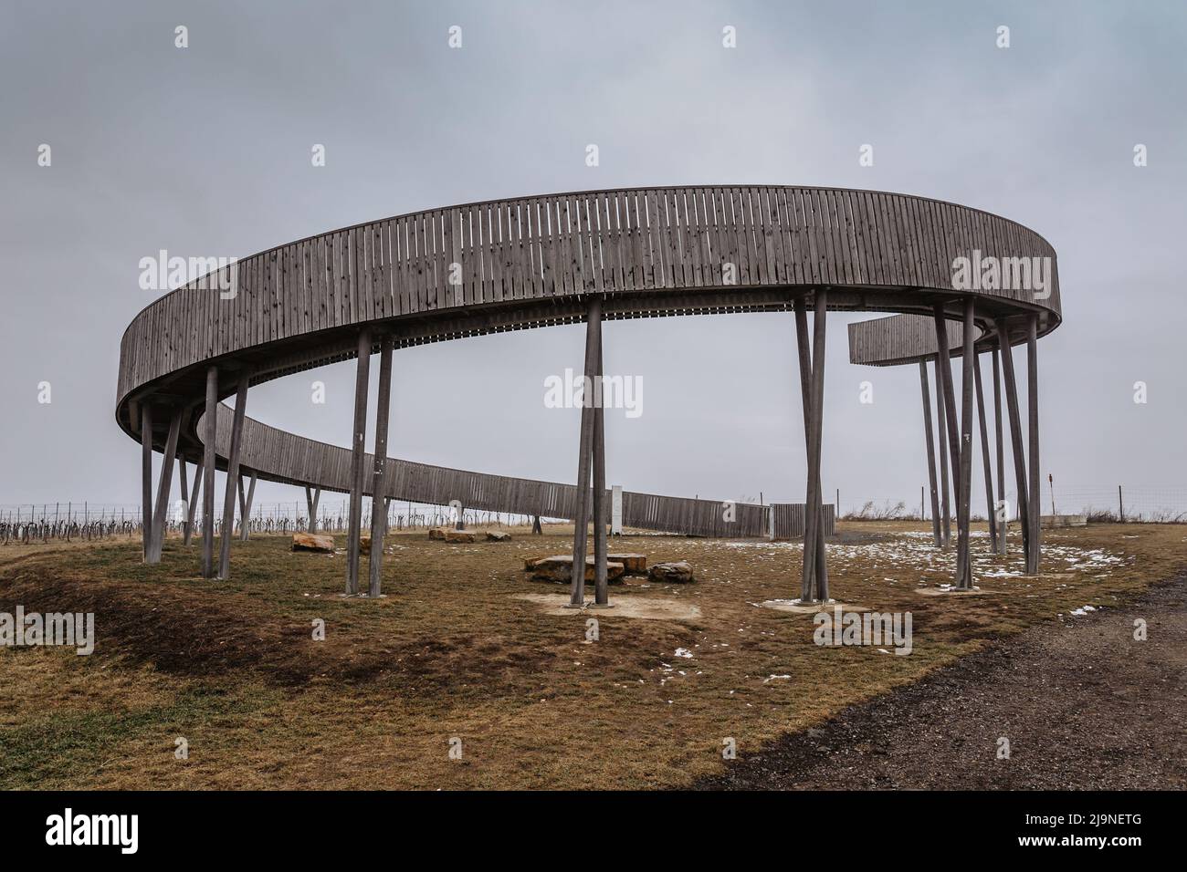 Torre di Lookout a Kobyli Vrch, regione della Moravia meridionale, repubblica Ceca. Costruzione a spirale in legno all'interno di Vineyards.Palava colline, famosa zona del vino. Inverno Foto Stock