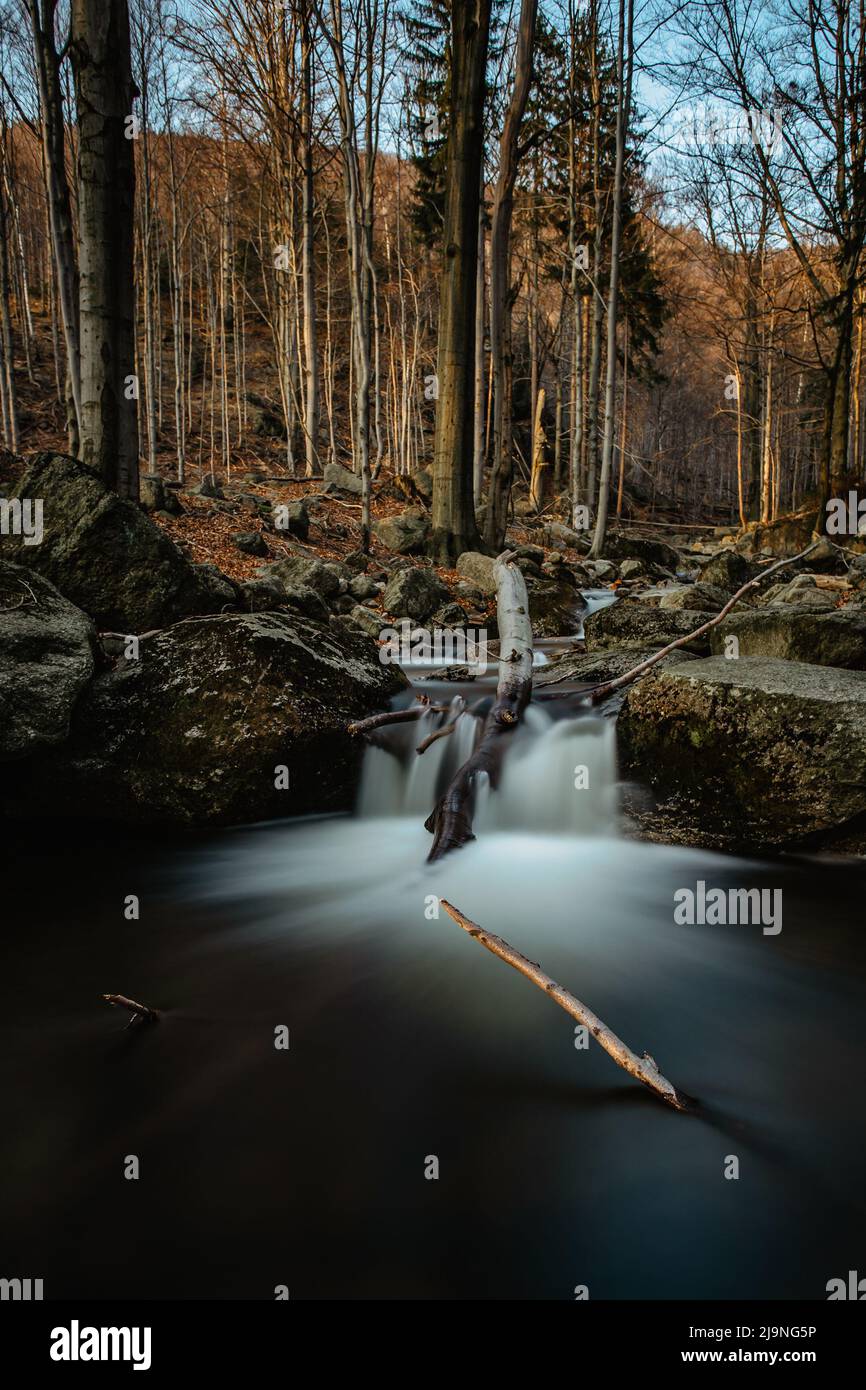 Riserva naturale ceca chiamata buciny di Jizerskohorske, Beechwood della montagna di Jizera, sulla natura di List.Unesco unica con gli alberi di faggio, le cascate, ruscelli selvaggi, Foto Stock
