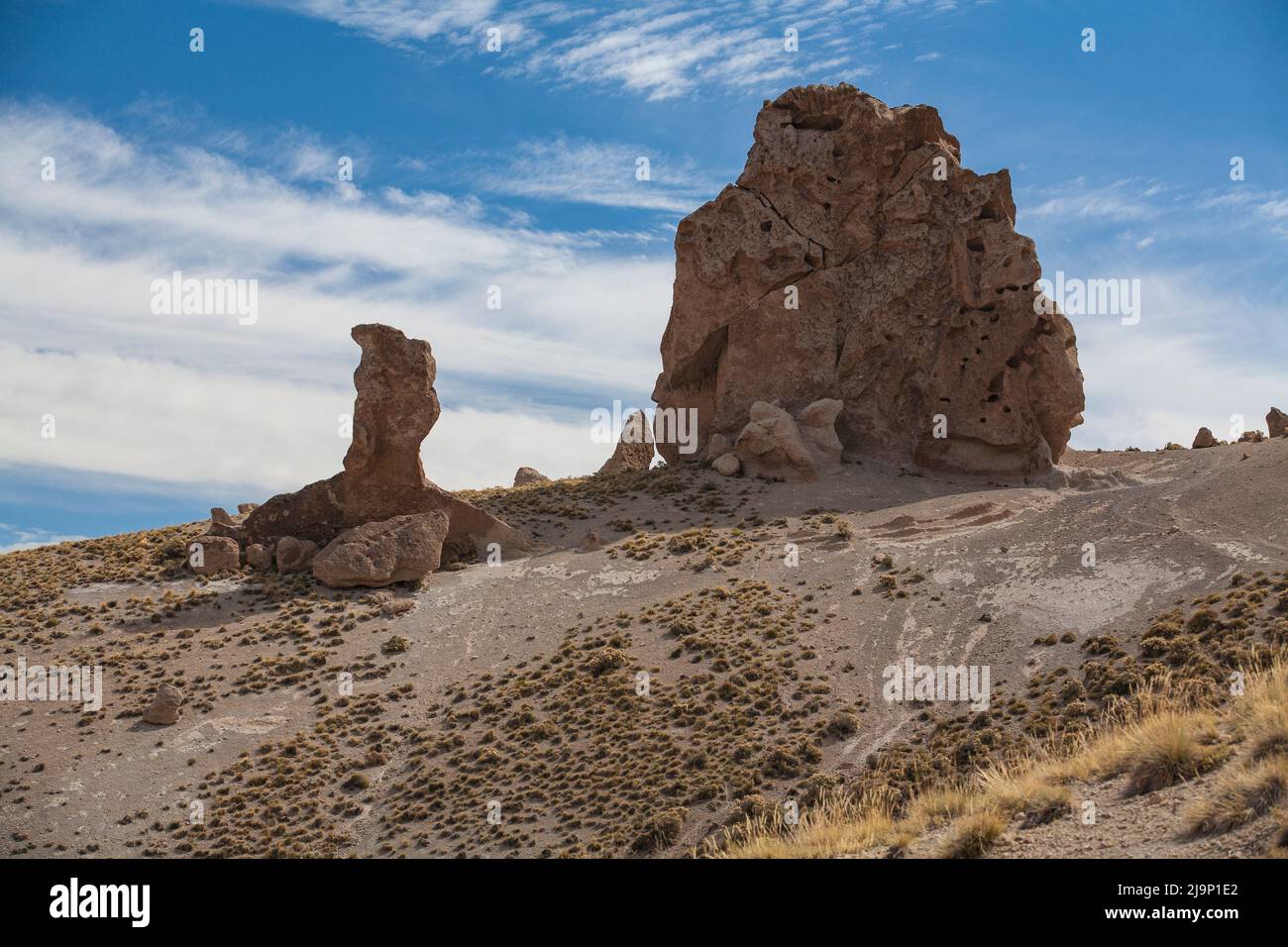 Il sentiero Los Tachos sulle pendici occidentali del complesso vulcanico Domuyo in Argentina Foto Stock