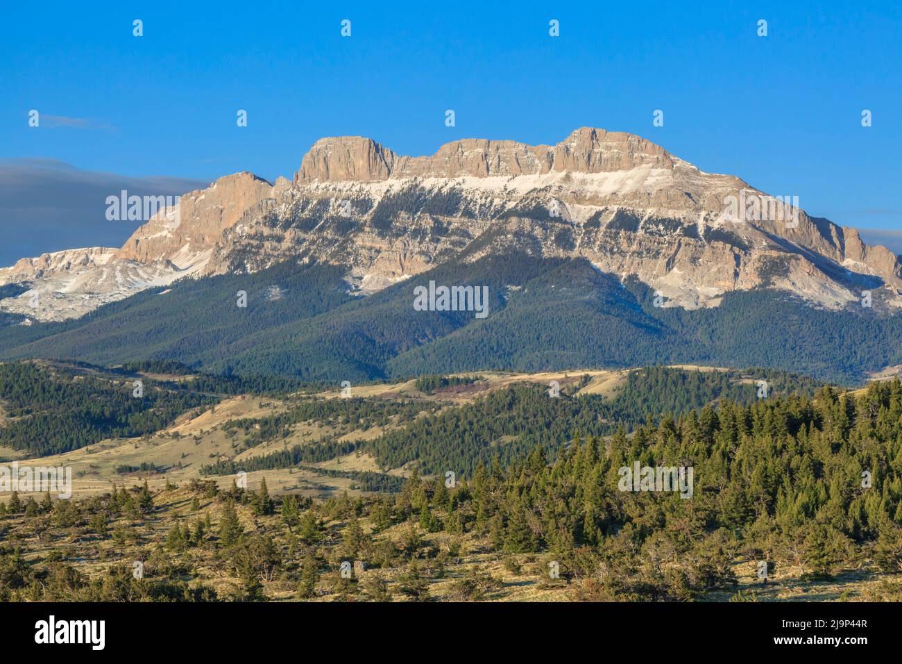 A dente di sega di crinale lungo il Rocky Mountain Front vicino a Augusta, montana Foto Stock
