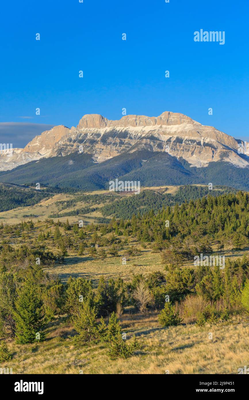 A dente di sega di crinale lungo il Rocky Mountain Front vicino a Augusta, montana Foto Stock