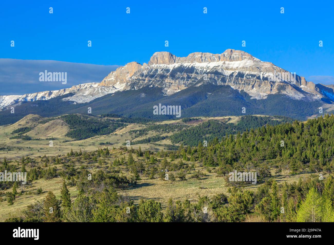 A dente di sega di crinale lungo il Rocky Mountain Front vicino a Augusta, montana Foto Stock