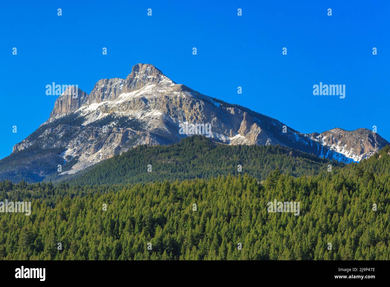 faccia nord della cresta a dente di sega lungo il fronte roccioso di montagna vicino augusta, montana Foto Stock
