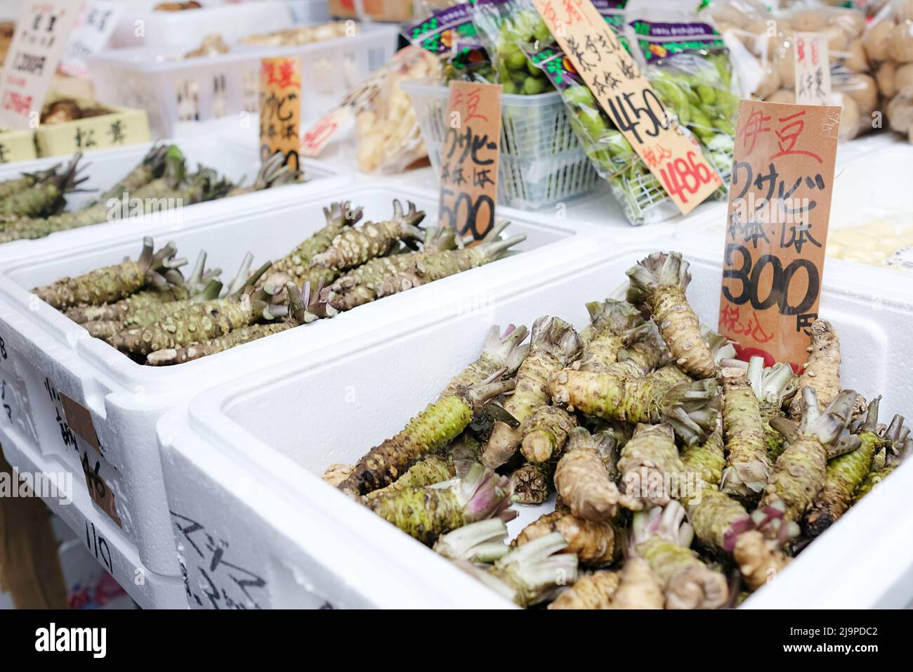 Radici di wasabi fresche per la vendita ai mercati del pesce di Tsukiji a Tokyo, Giappone. Foto Stock