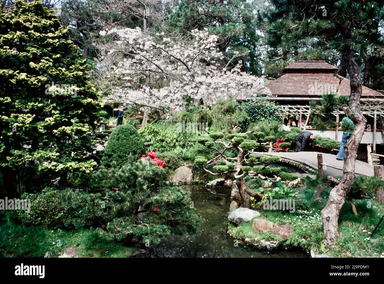 Japanese Tea Garden a San Francisco, California nel 1979 Foto Stock