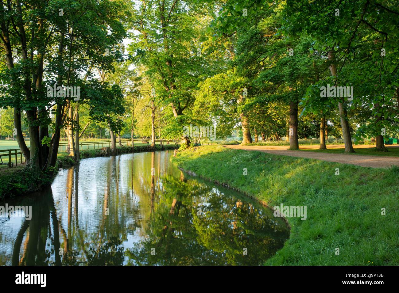 Fiume Cherwell lungo Cristo Chiesa passeggiata prato in una mattina primaverile. Oxford, Oxfordshire, Inghilterra Foto Stock