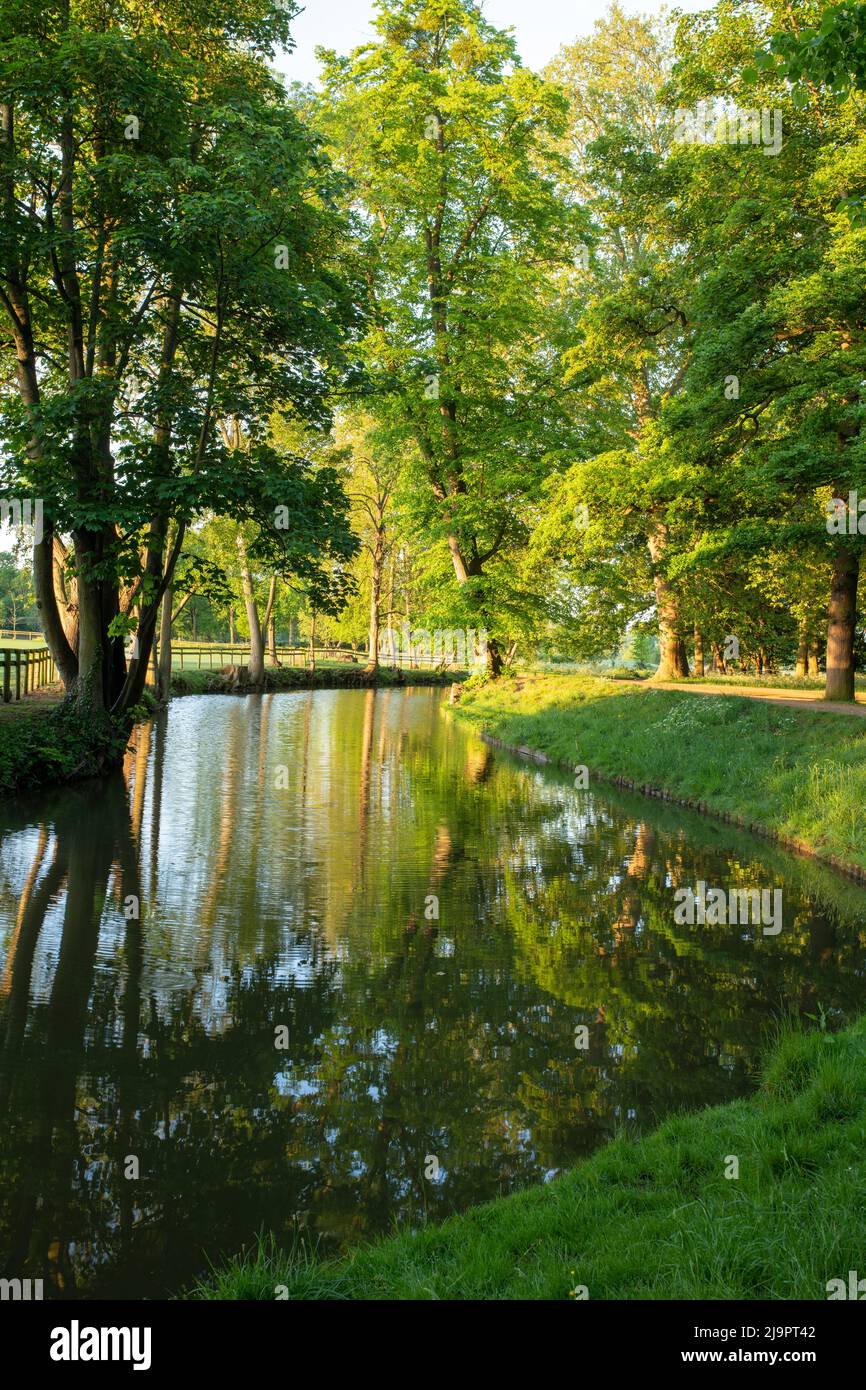 Fiume Cherwell lungo Cristo Chiesa passeggiata prato in una mattina primaverile. Oxford, Oxfordshire, Inghilterra Foto Stock