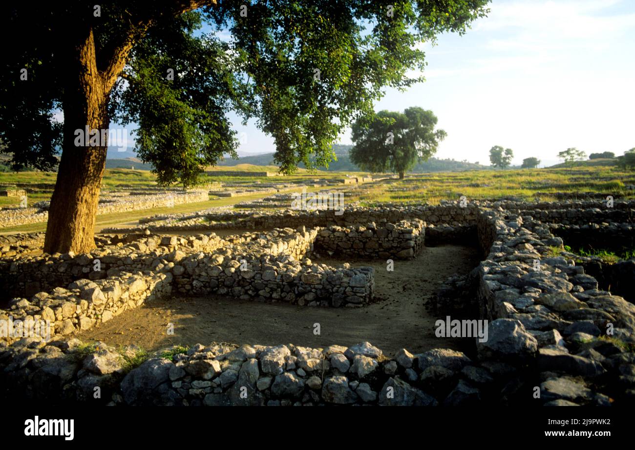 Le rovine di Taxila data dal 6th secolo a.C. fu un importante centro di apprendimento buddista, situato nell'attuale Pakistan Foto Stock