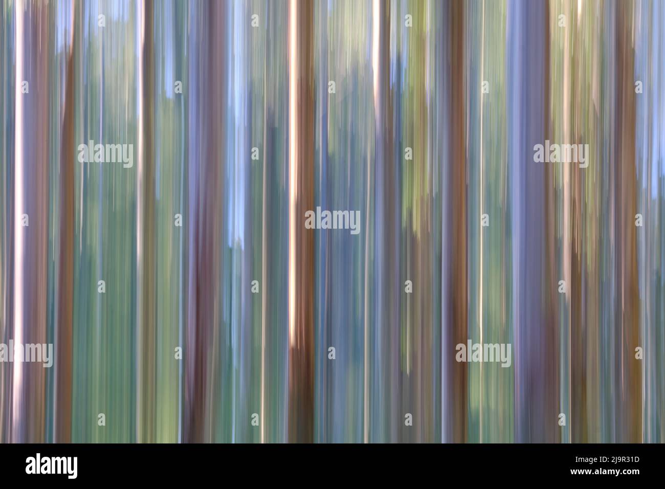 Cenere di montagna in Abstract Foto Stock