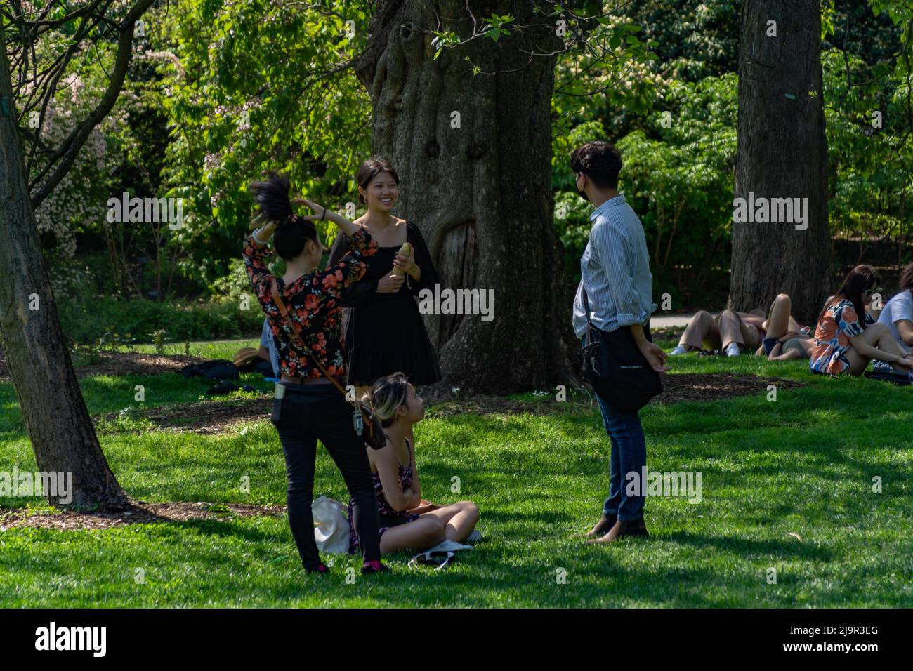 Serenity in Bloom: Godetevi lo splendore estivo al Brooklyn Botanic Garden nel 2022 Foto Stock