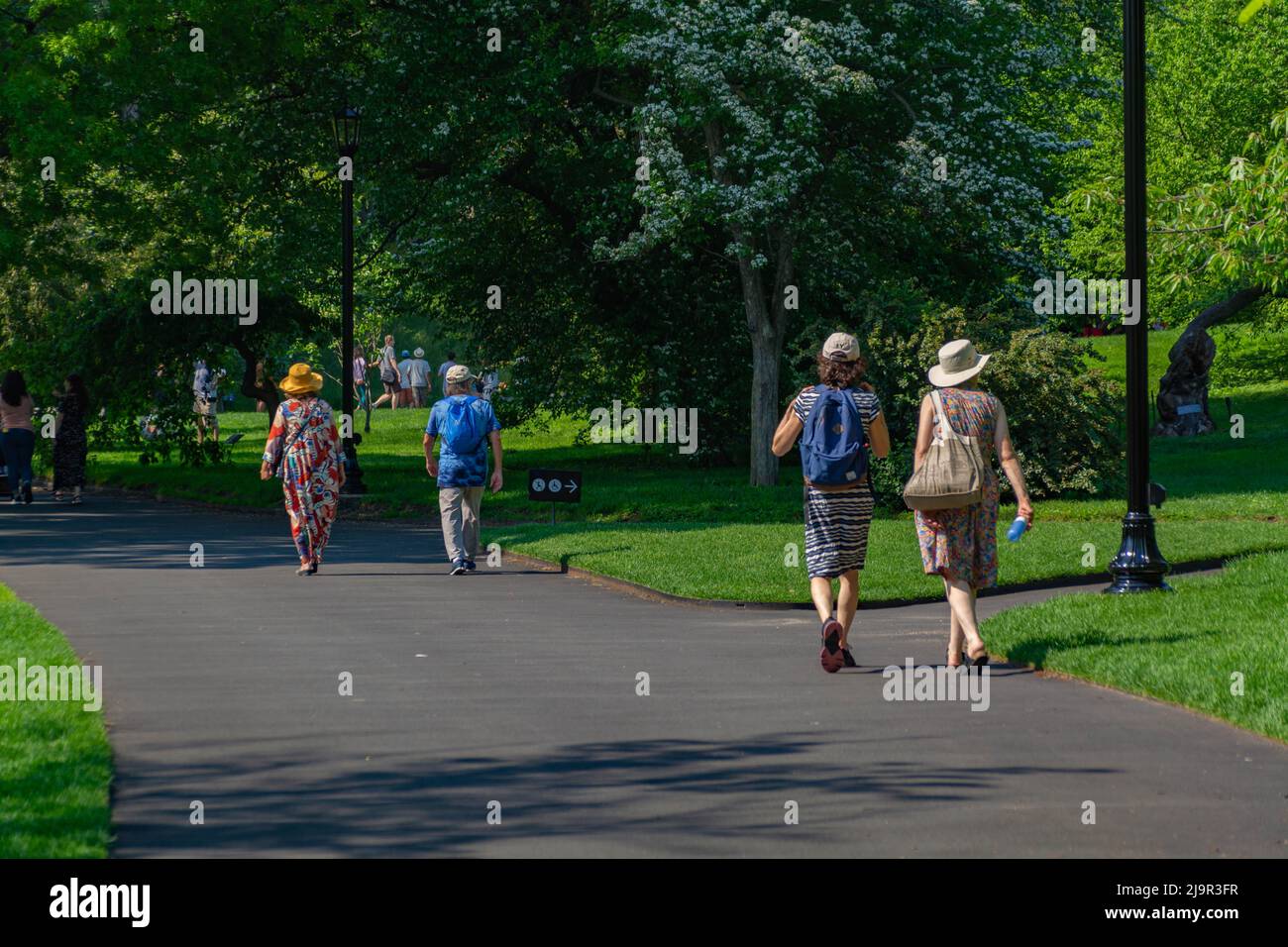 Serenity in Bloom: Godetevi lo splendore estivo al Brooklyn Botanic Garden nel 2022 Foto Stock