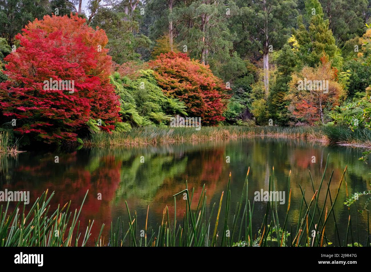 Autunno sul lago Foto Stock