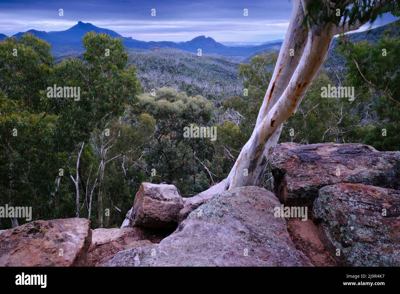 Whitegum Lookout Foto Stock