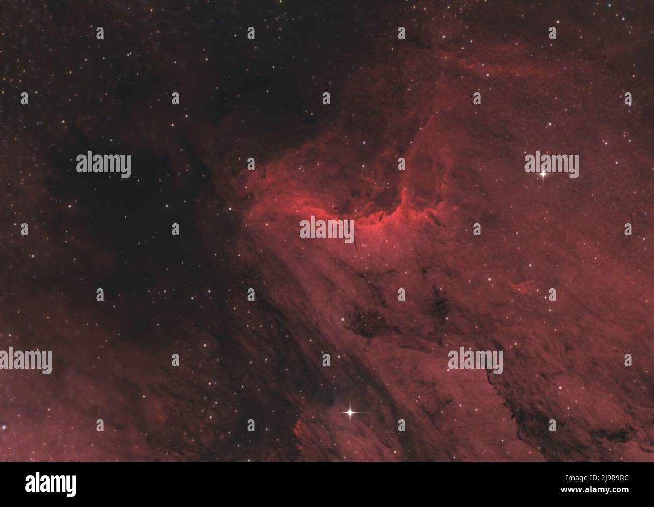Il prominente crinale di emissione all'interno della Nebula Pelican (IC5067 & IC5070), fotografata dal Regno Unito Foto Stock